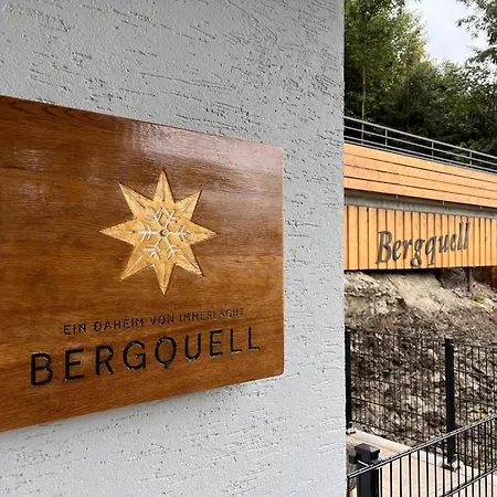 Haus Bergquell App 7 * Willingen (Upland)